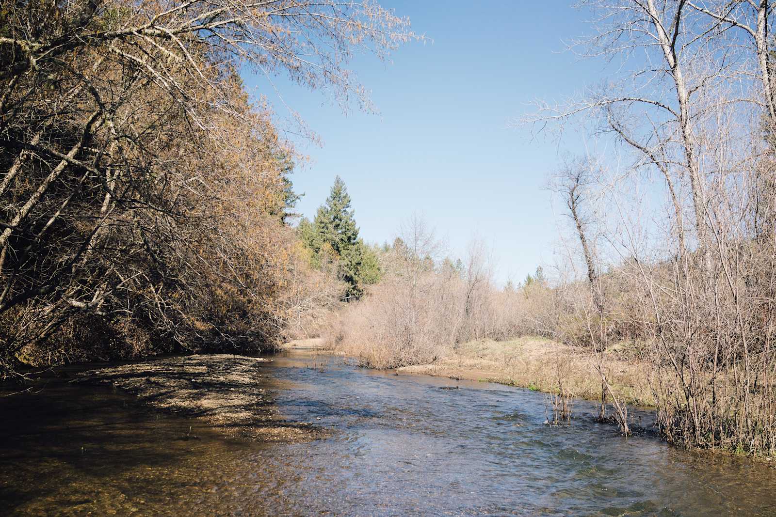 Lightworks ranch - Willits, California - glamping.directory