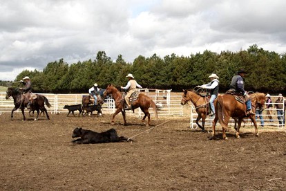 Fantastic Dude Ranch Vacation Experience For Two in Central Nebraska - Burwell, Nebraska - glamping.directory