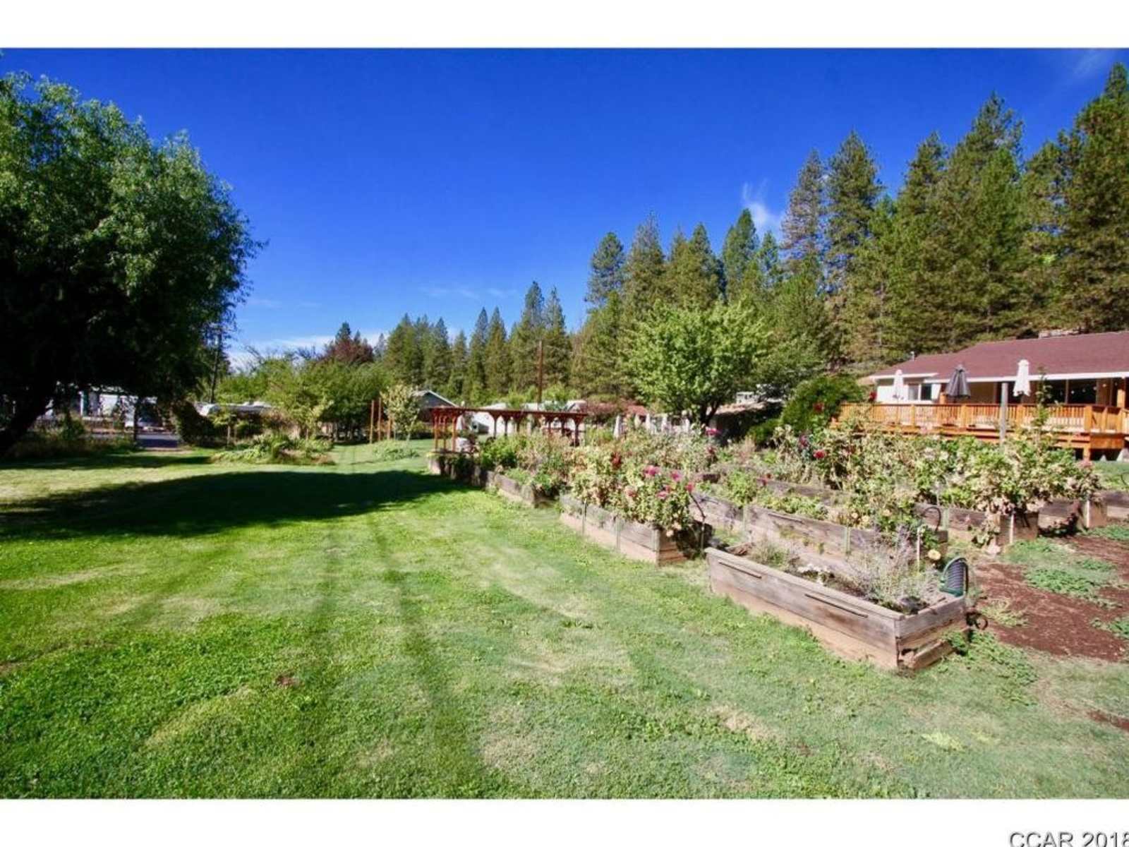 Scottie's Motofarm - Forest Meadows, California - glamping.directory