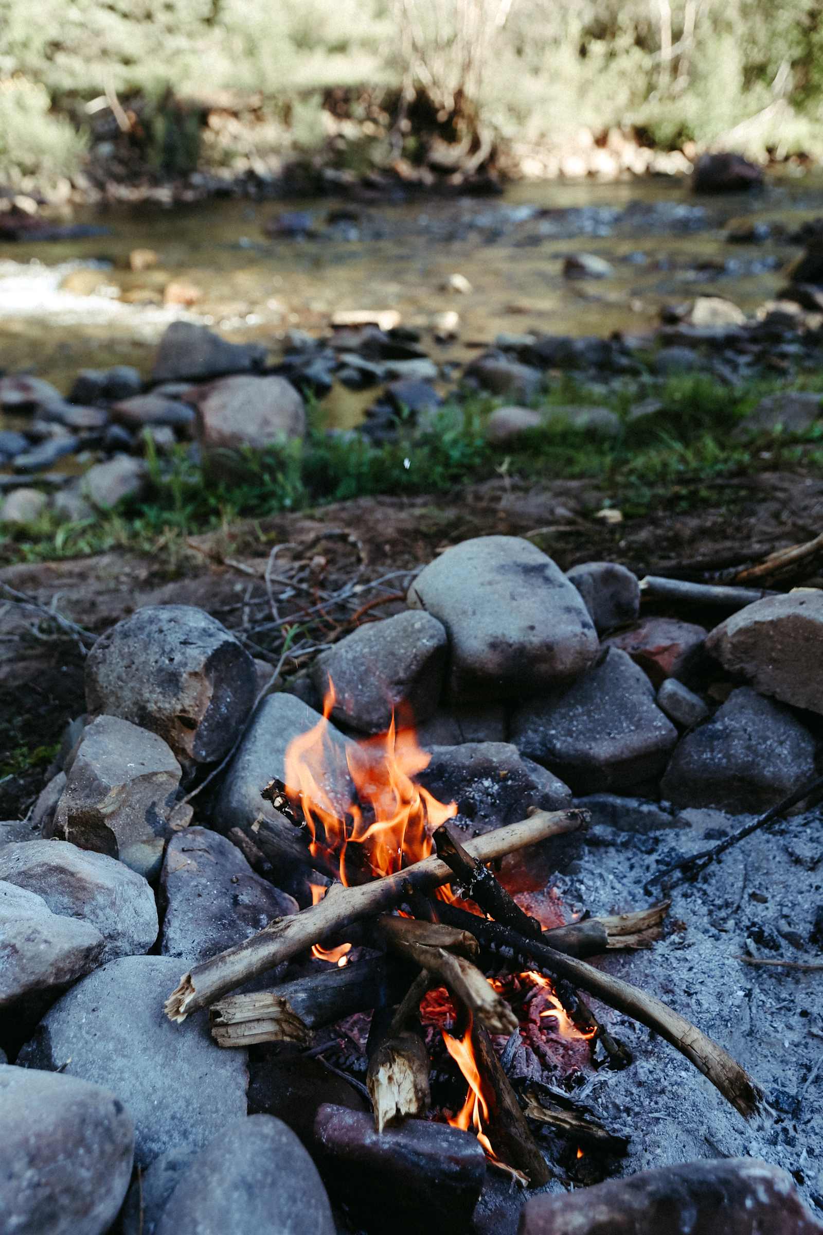Lazy Rooster Ranch - Rico, Colorado - glamping.directory