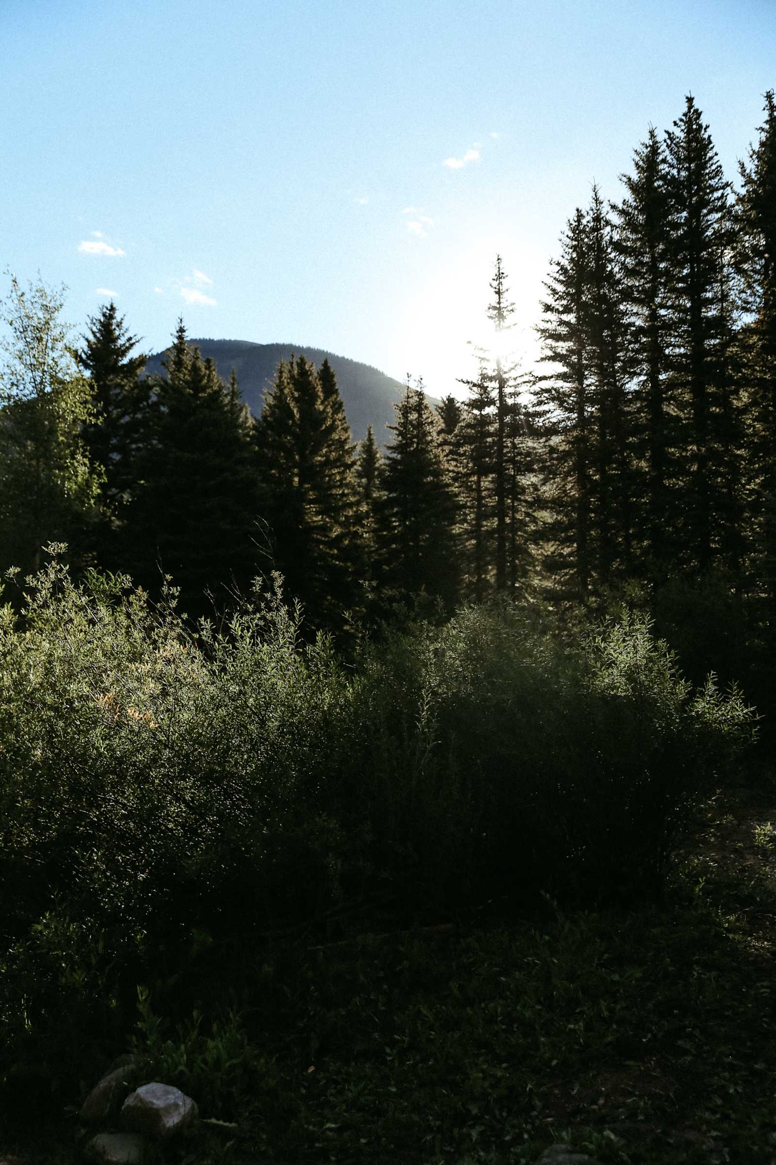Lazy Rooster Ranch - Rico, Colorado - glamping.directory
