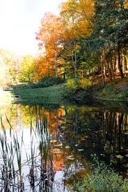 Rustic-Chic Escape with Hot Tub, Fire Pit & Scenic Views in Pine Hill, New York - Pine Hill, New York - glamping.directory