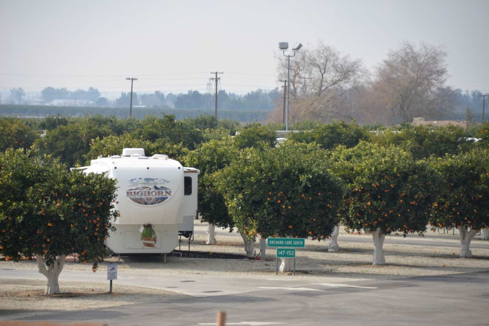 Orange Grove RV Park - Bakersfield, California - glamping.directory