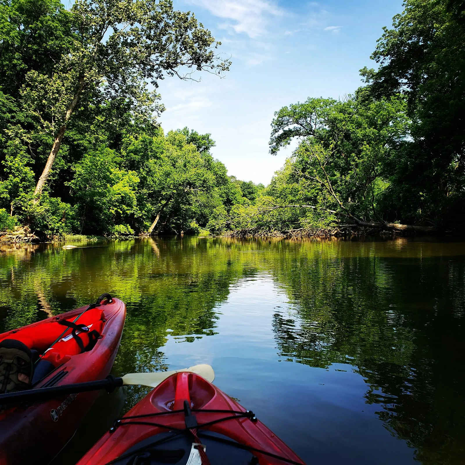 Cedar Ridge South Fork River - glamping.directory