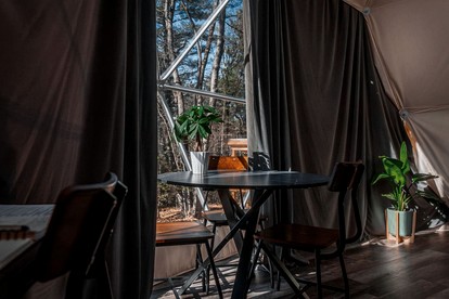 Unplug and Unwind in a Modern Dome with Firelight Evenings and Starry Skies in Traphill, North Carolina - Traphill, North Carolina - glamping.directory