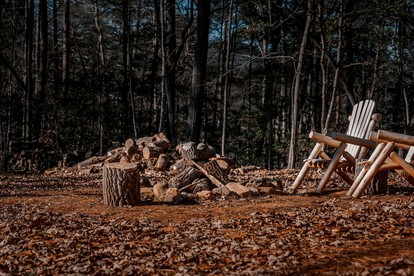 Unplug and Unwind in a Modern Dome with Firelight Evenings and Starry Skies in Traphill, North Carolina - Traphill, North Carolina - glamping.directory