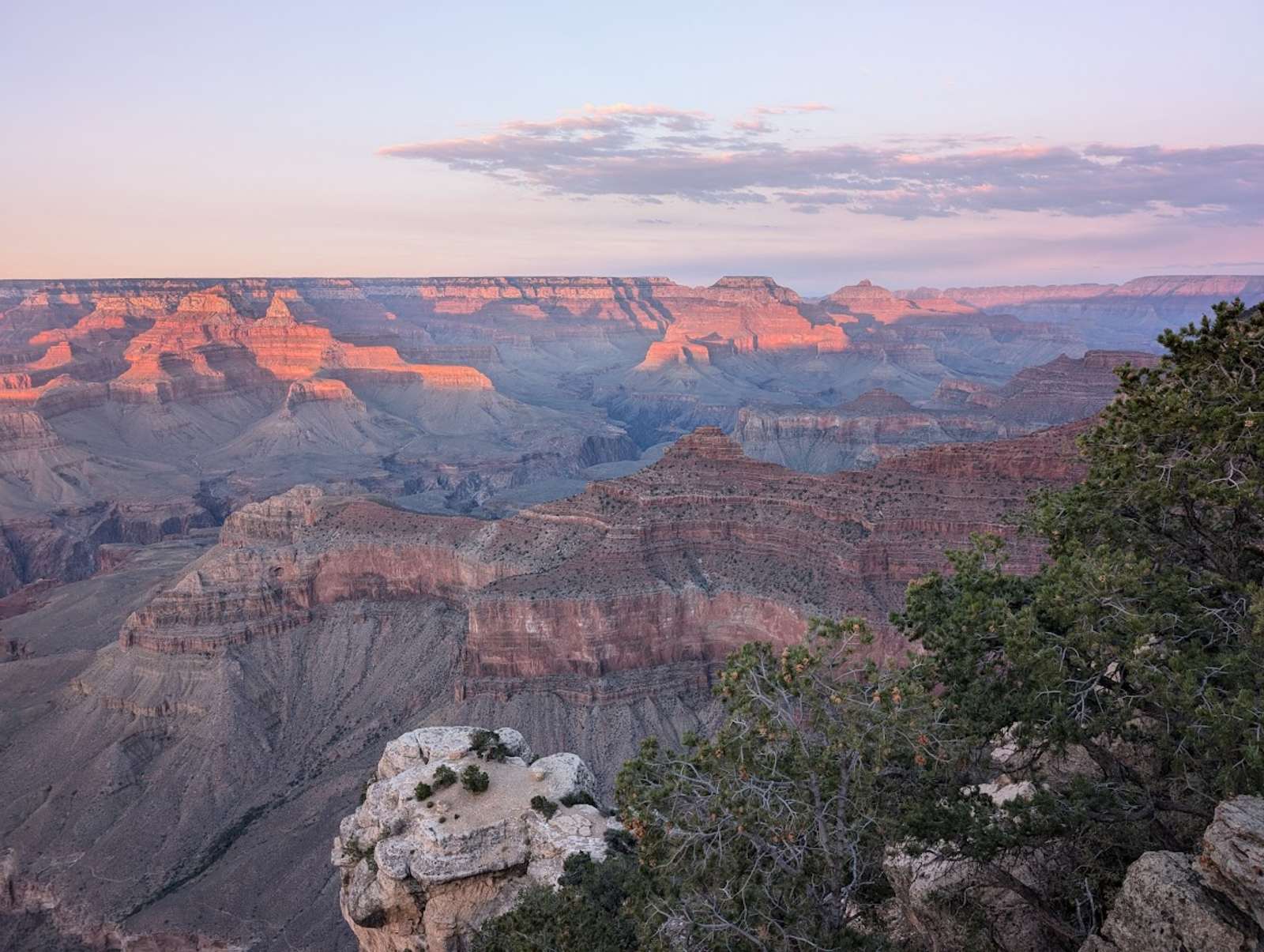 Overlander's Grand Canyon Basecamp! - Williams, Arizona - glamping.directory