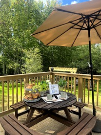 Nature Lovers Luxury Dome with Access to Hiking Trails in the Southern Catskills, Upstate New York - Monticello, New York - glamping.directory