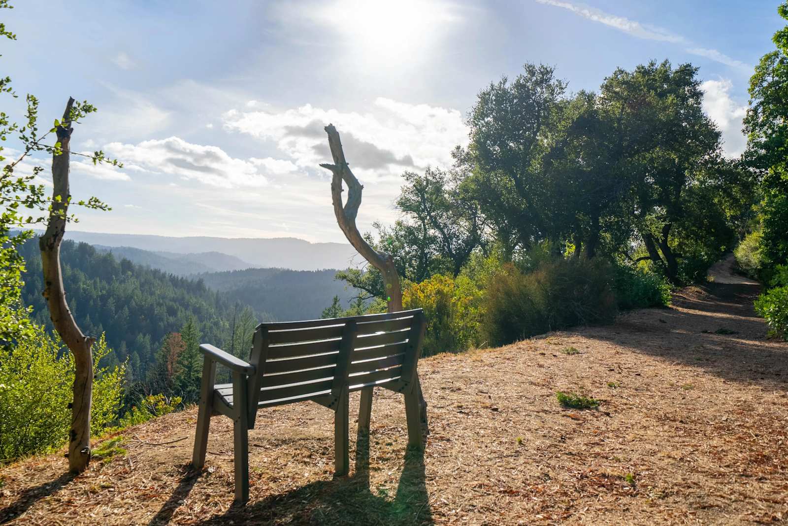 Double Bear - Lexington Hills, California - glamping.directory
