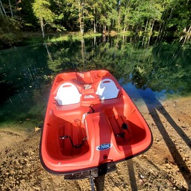 Unique Earth Home Stay with Pet Goats and Fishing Pond near Lake Gaston NC - Littleton, North Carolina - glamping.directory