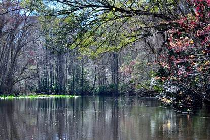 Unique Glamping Rental with Amazing Hiking Trails near Gainesville, Florida - Fort McCoy, Florida - glamping.directory