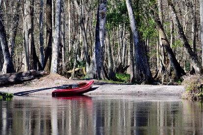 Unique Glamping Rental with Amazing Hiking Trails near Gainesville, Florida - Fort McCoy, Florida - glamping.directory
