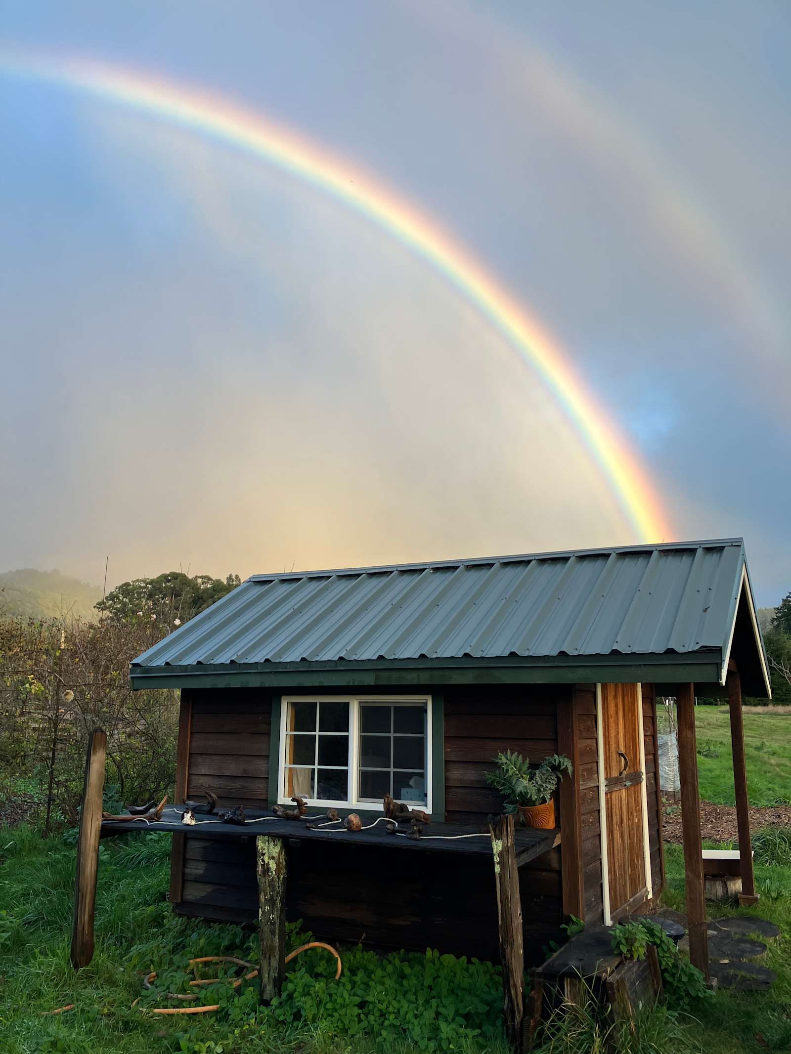 Lost Coast - Petrolia, California - glamping.directory