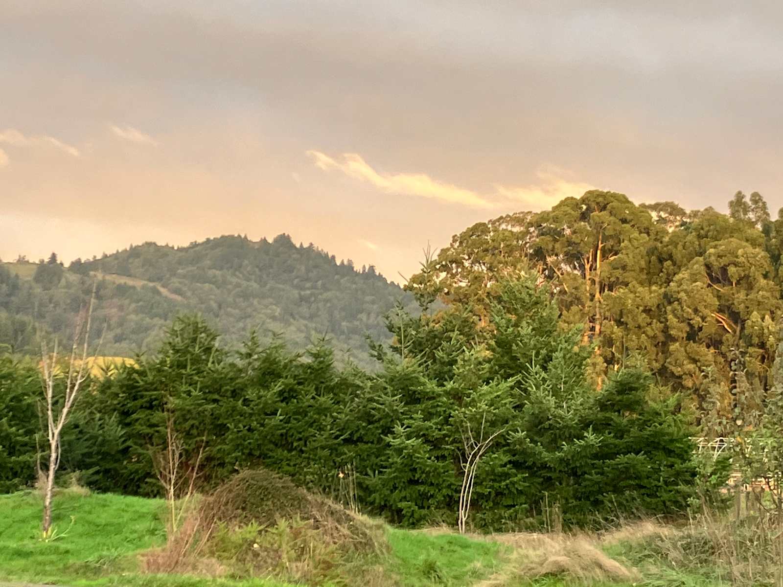 Lost Coast - Petrolia, California - glamping.directory