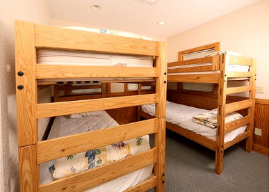 Cozy Dog-Friendly Cabin Rental Located near Pigeon Forge, Tennessee - Pigeon Forge, Tennessee - glamping.directory