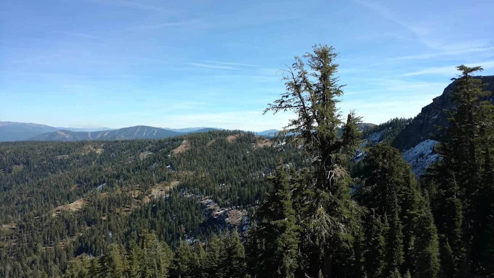Benson Hut - Soda Springs, California - glamping.directory