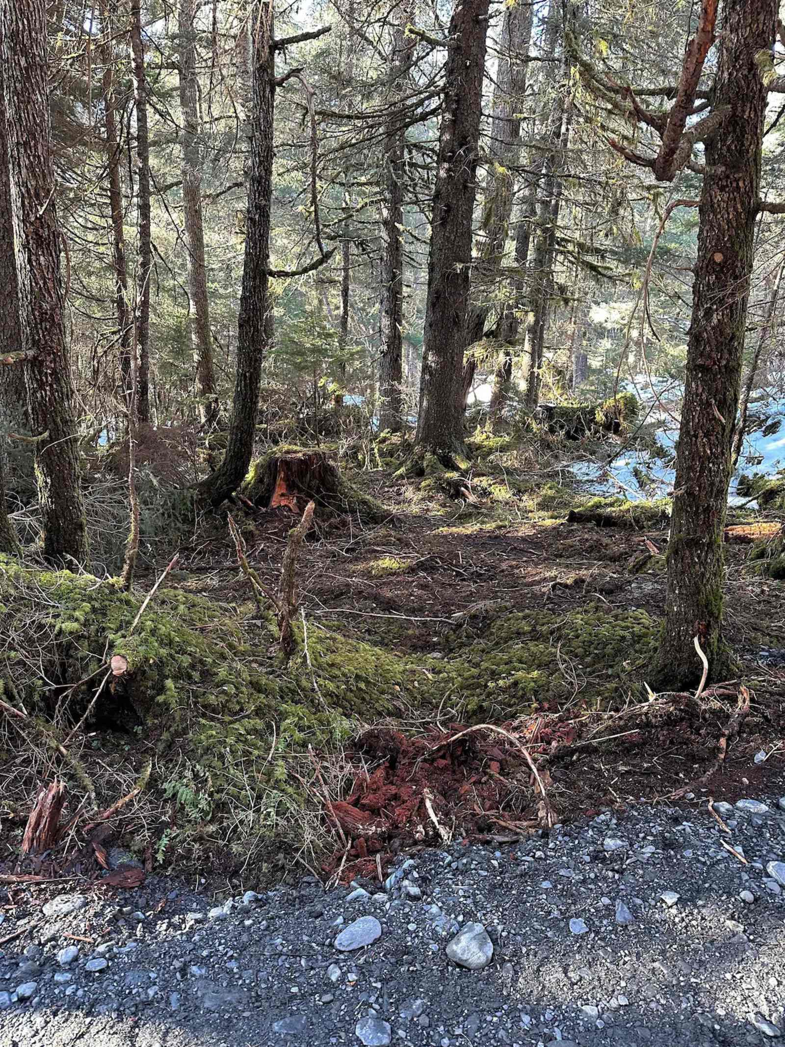Seward Camping - Seward, Alaska - glamping.directory