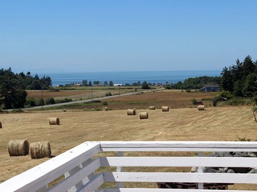 Unique Cottage Getaway on Farm in Oak Harbor, Washington - Oak Harbor, Washington - glamping.directory