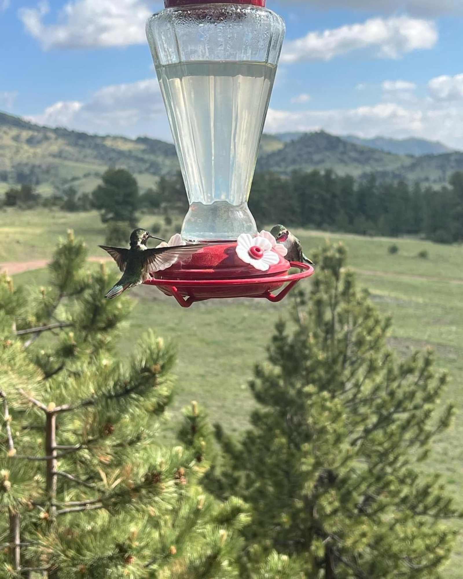 Casitas Amigas at K-Bar Ranch - Guffey, Colorado - glamping.directory