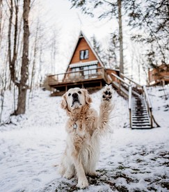 Secluded A-Frame Cabin with Private Riverfront on Little Manistee River near Tustin, Michigan - Tustin, Michigan - glamping.directory