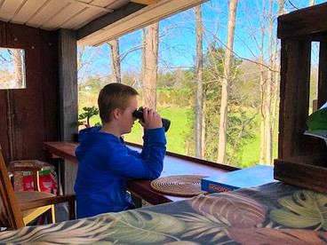 Secluded Camping Cabin in the Woods near Burgess Falls, Tennessee - Sparta, Tennessee - glamping.directory
