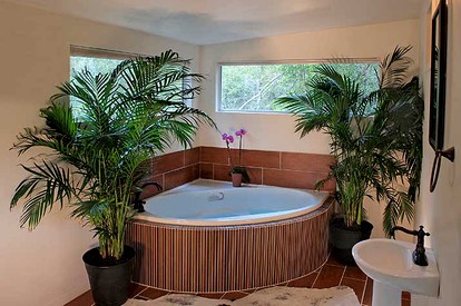 Secluded Cabin Rental with Jacuzzi for Romantic Weekend Getaway near Austin, Texas - Cat Spring, Texas - glamping.directory