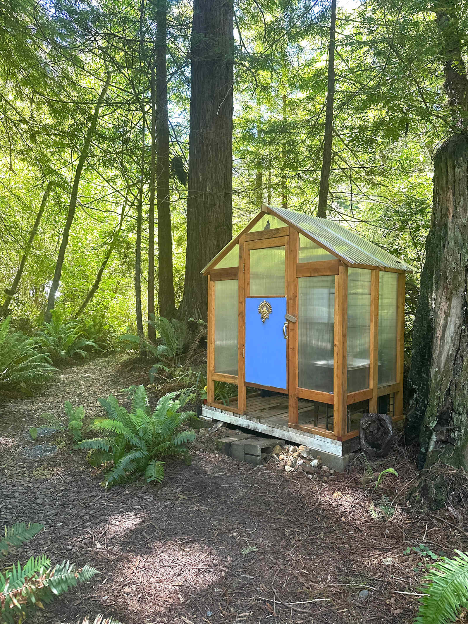 The Fairy Forest - Trinidad, California - glamping.directory
