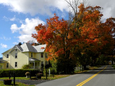 Charming Two-Bedroom Cottage Rental in a Quiet Countryside Setting near the Appalachian Trail, Burke´s Garden, Virginia - Tazewell, Virginia - glamping.directory