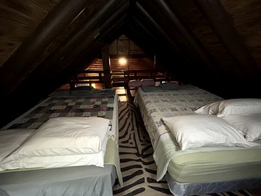 Pet Friendly Log Cabin Nestled under the Forested High Country of the Mongollon Rim in Central Arizona - Payson, Arizona - glamping.directory