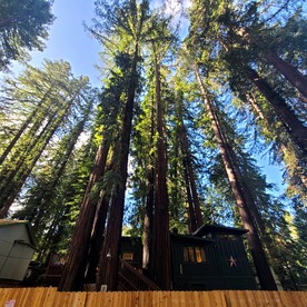 Modern Guerneville Rental for a Weekend Getaway from San Francisco - Guerneville, California - glamping.directory