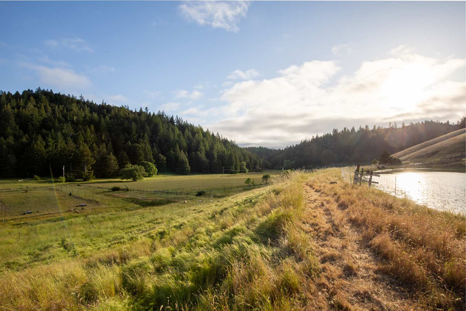 Otter Valley Farm - glamping.directory
