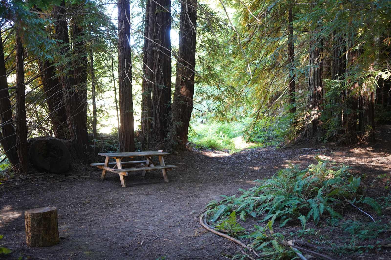 Otter Valley Farm - Comptche, California - glamping.directory