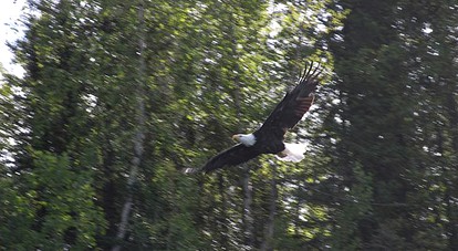 Riverfront Vacation Rental in a Fishing Lodge near Chugach National Forest, Alaska - Soldotna, Alaska - glamping.directory