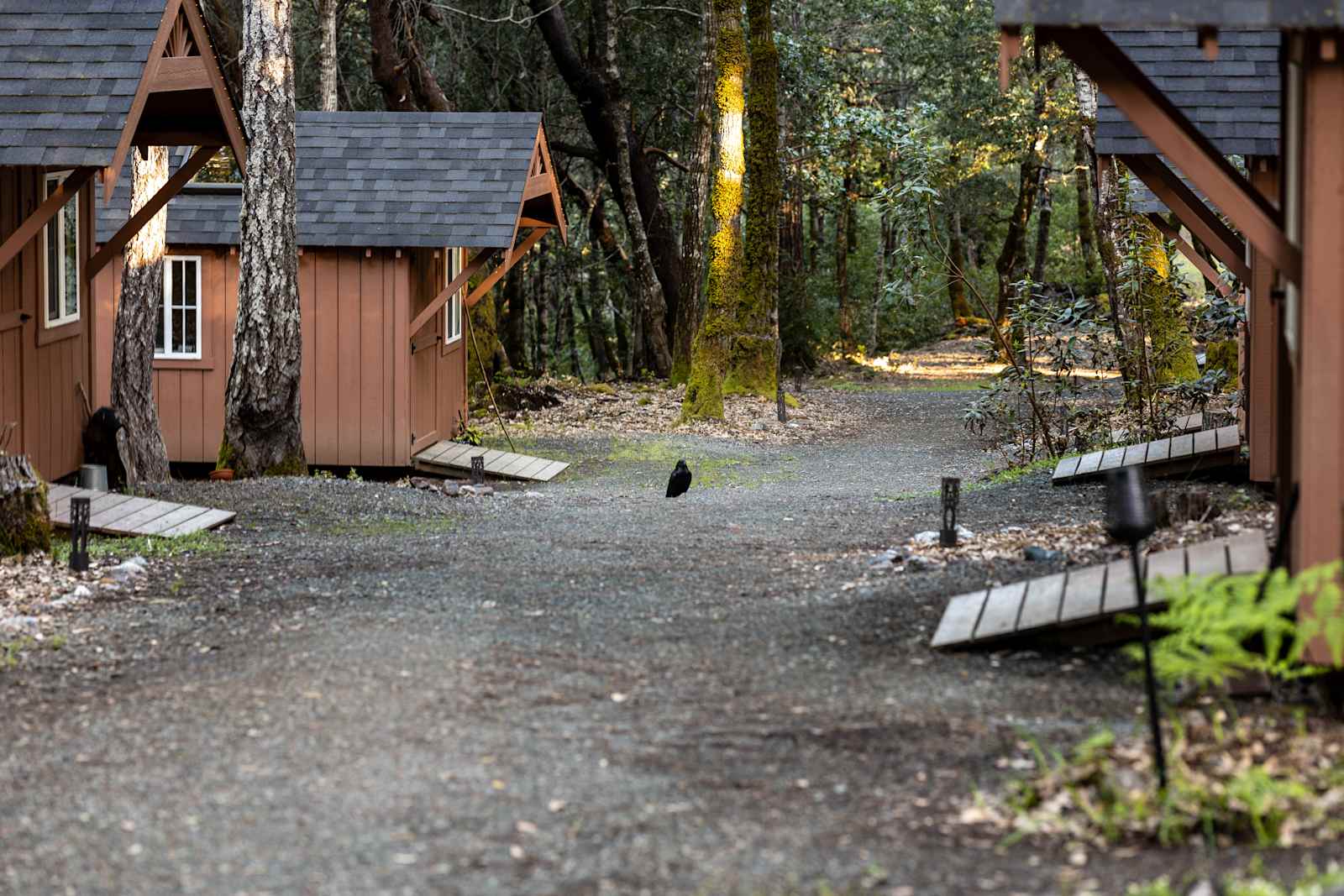 Ganjier Campus - Miranda, California - glamping.directory