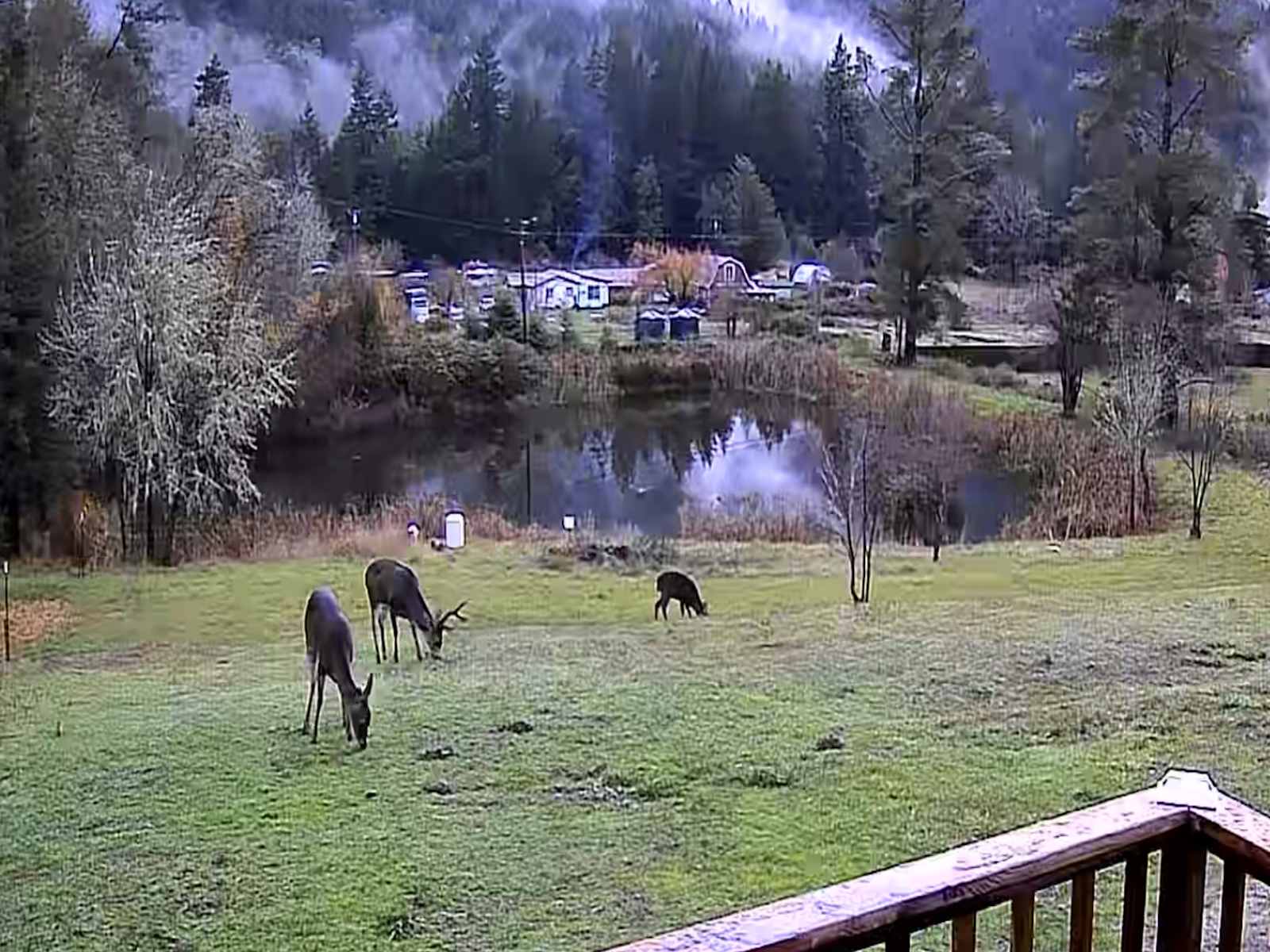 Salmon Creek RV Camping - Miranda, California - glamping.directory