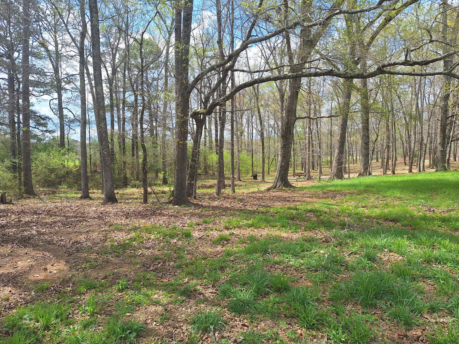 A Place To Land - Pell City, Alabama - glamping.directory