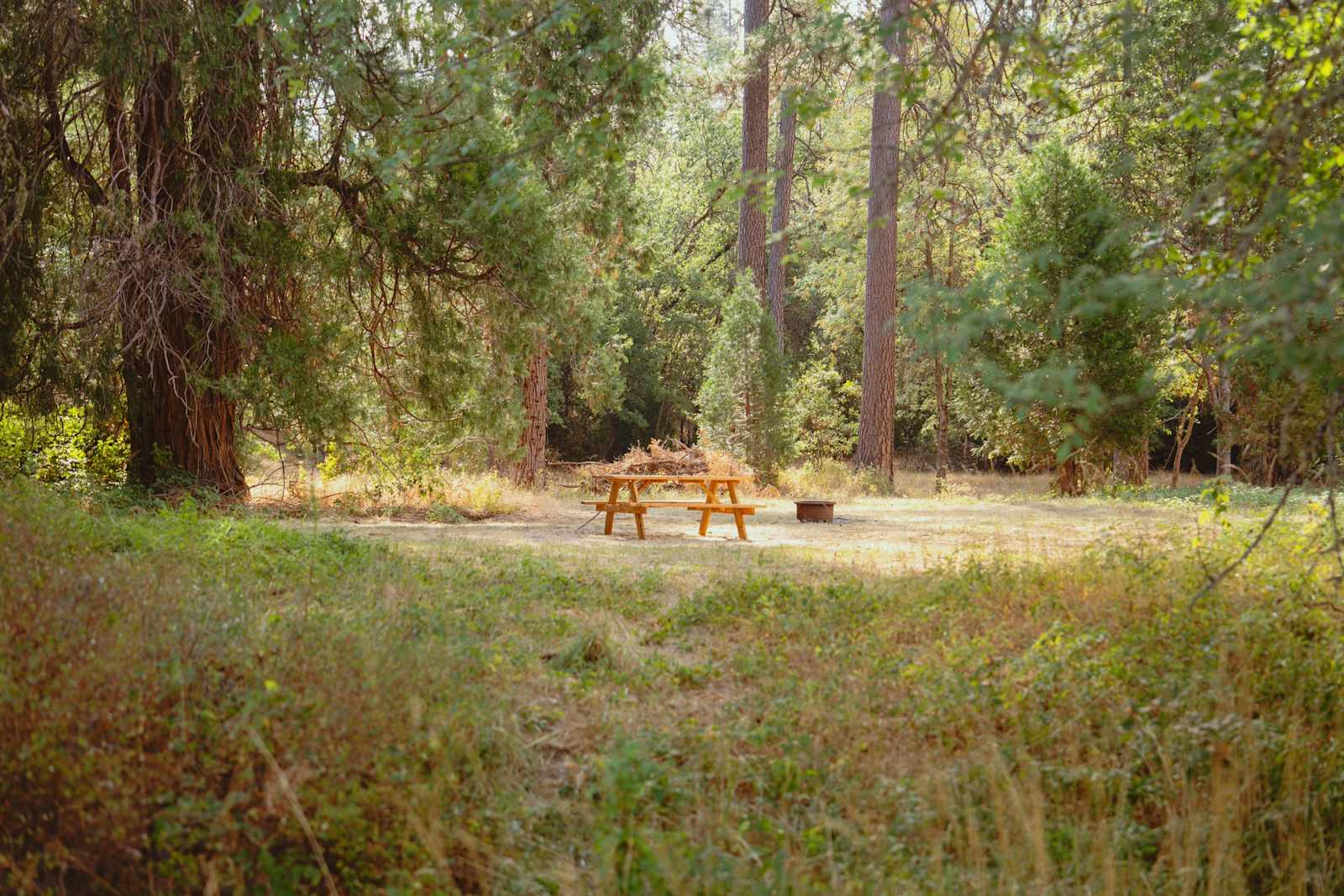 Kosk Creek Campgrounds - Big Bend, California - glamping.directory
