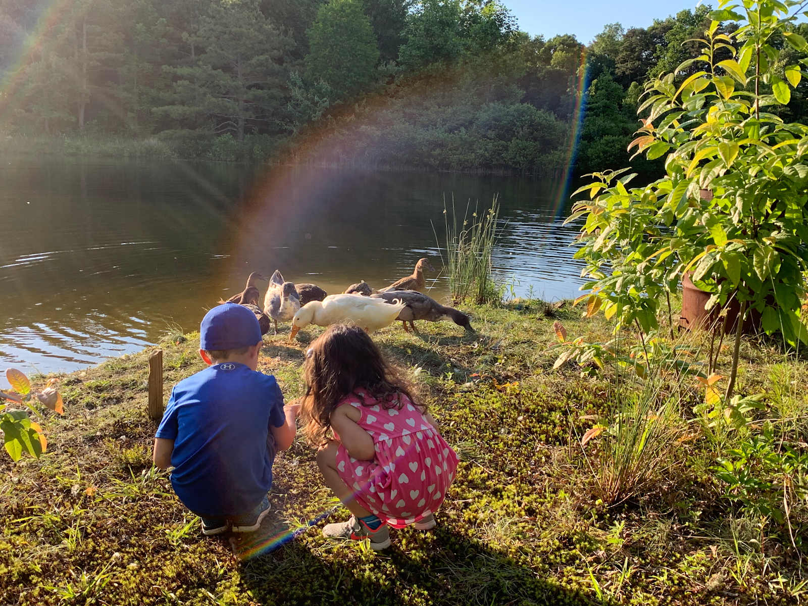 Woodybrooke Farm Campground - Ider, Alabama - glamping.directory