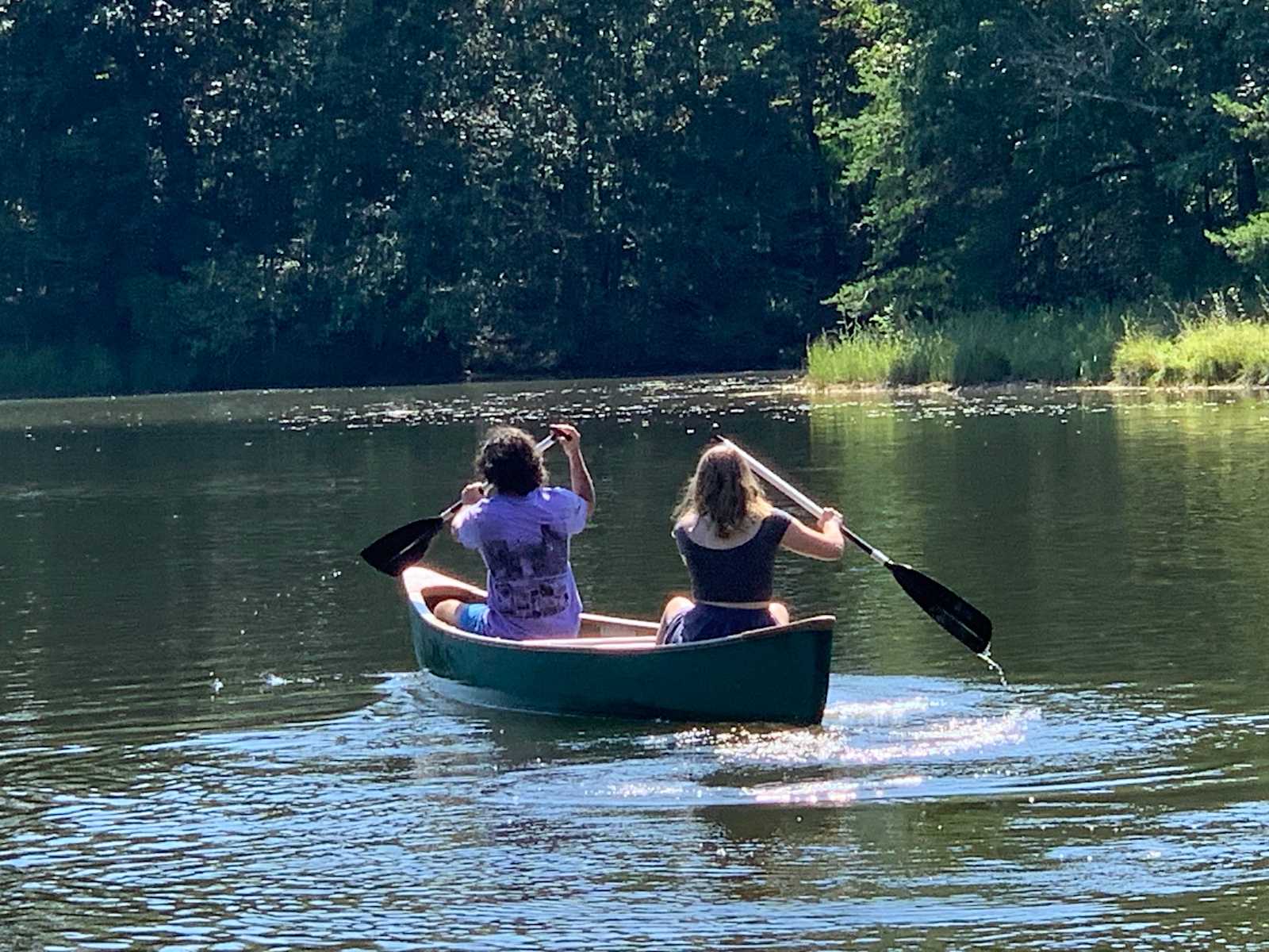 Woodybrooke Farm Campground - Ider, Alabama - glamping.directory