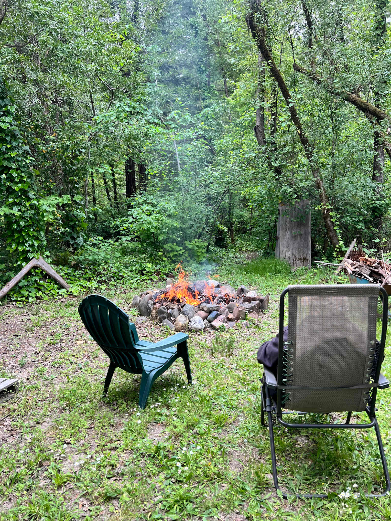 Redwood River Camp - Redway, California - glamping.directory