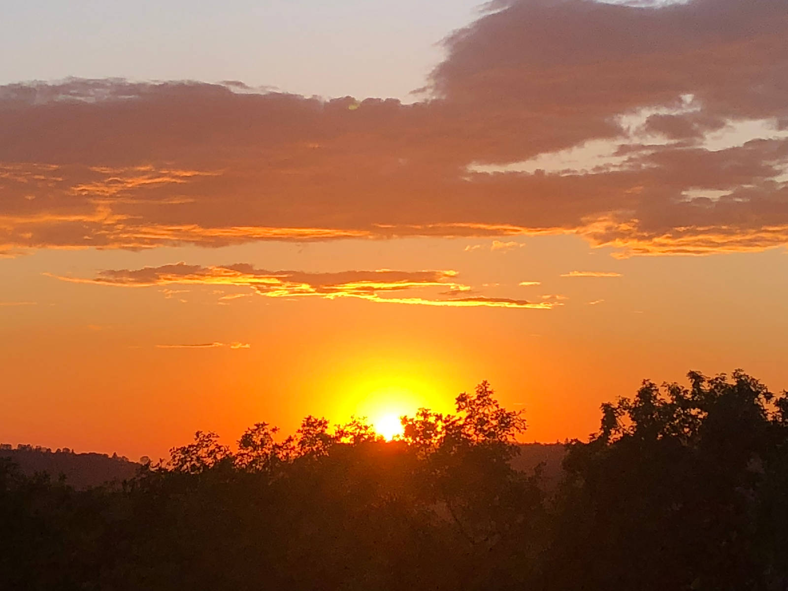 YuBarrio River Canyon Retreat - Nevada City, California - glamping.directory
