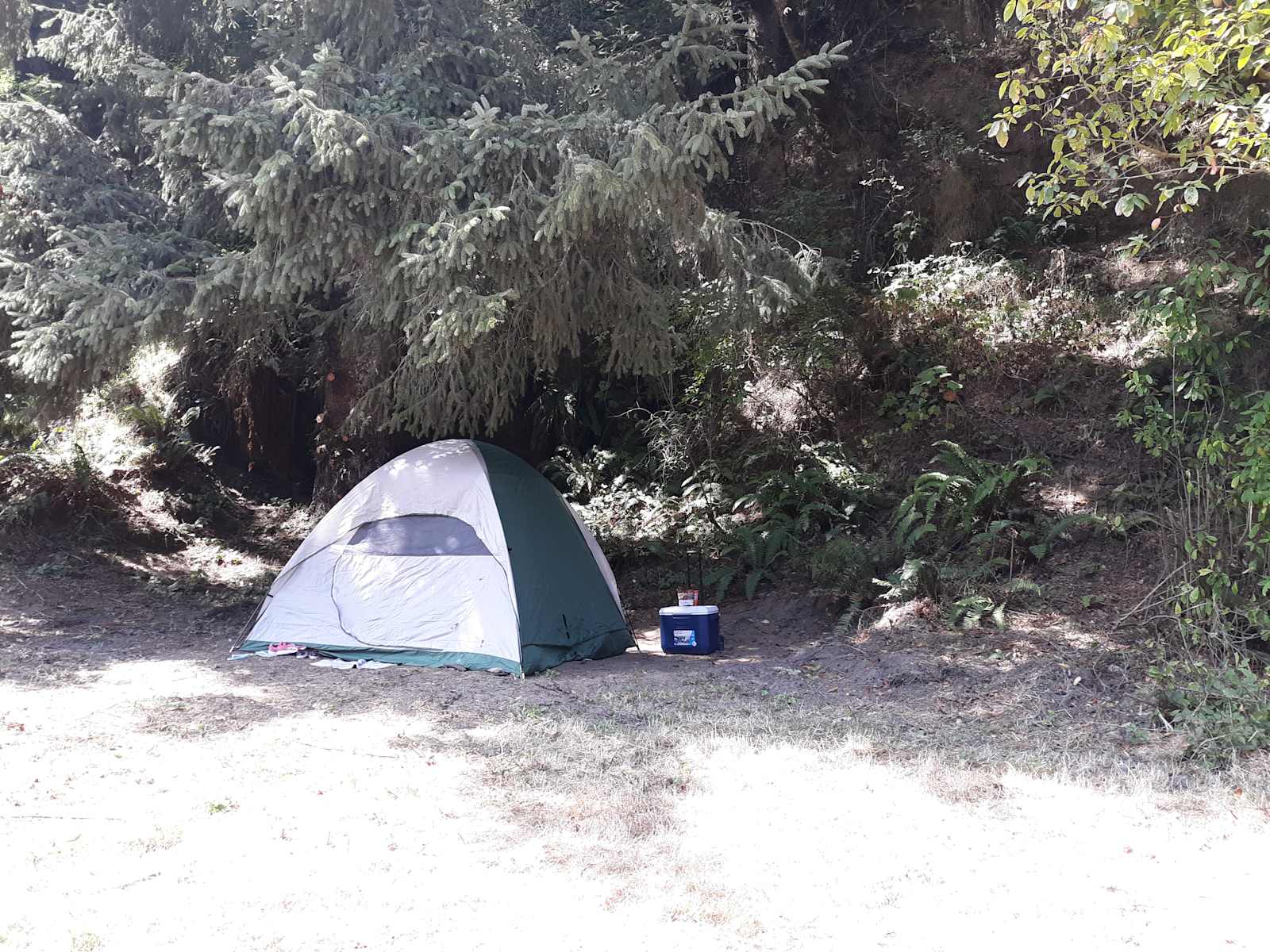 Wendy & John Farm - Ferndale, California - glamping.directory