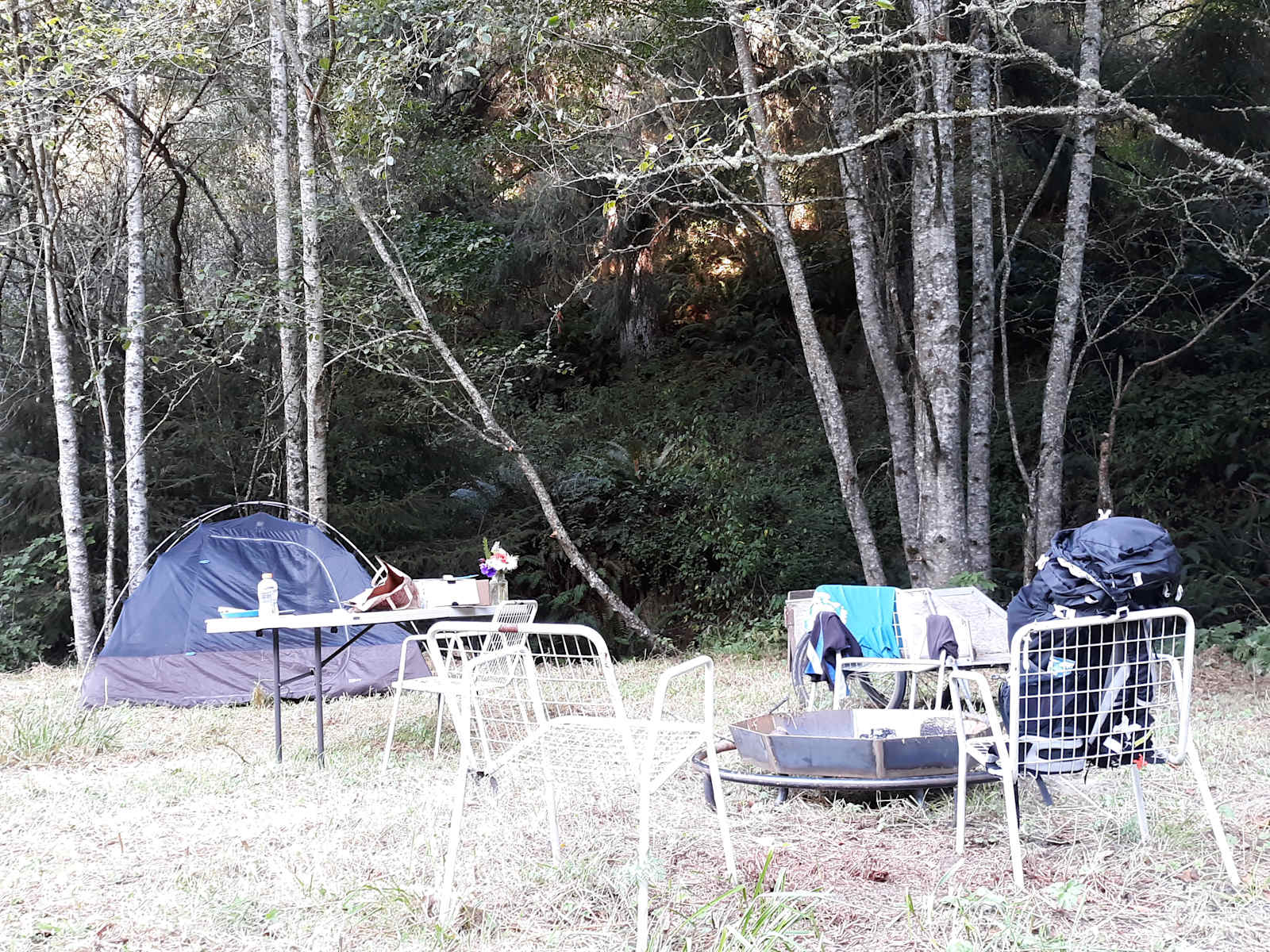 Wendy & John Farm - Ferndale, California - glamping.directory