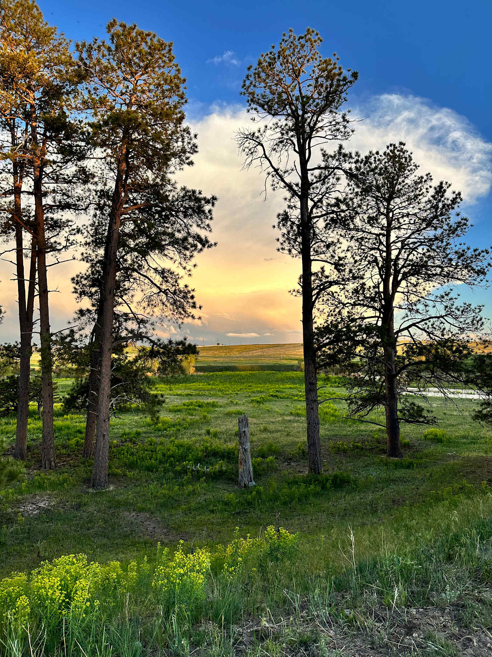 120 Acre Animal Sanctuary - glamping.directory