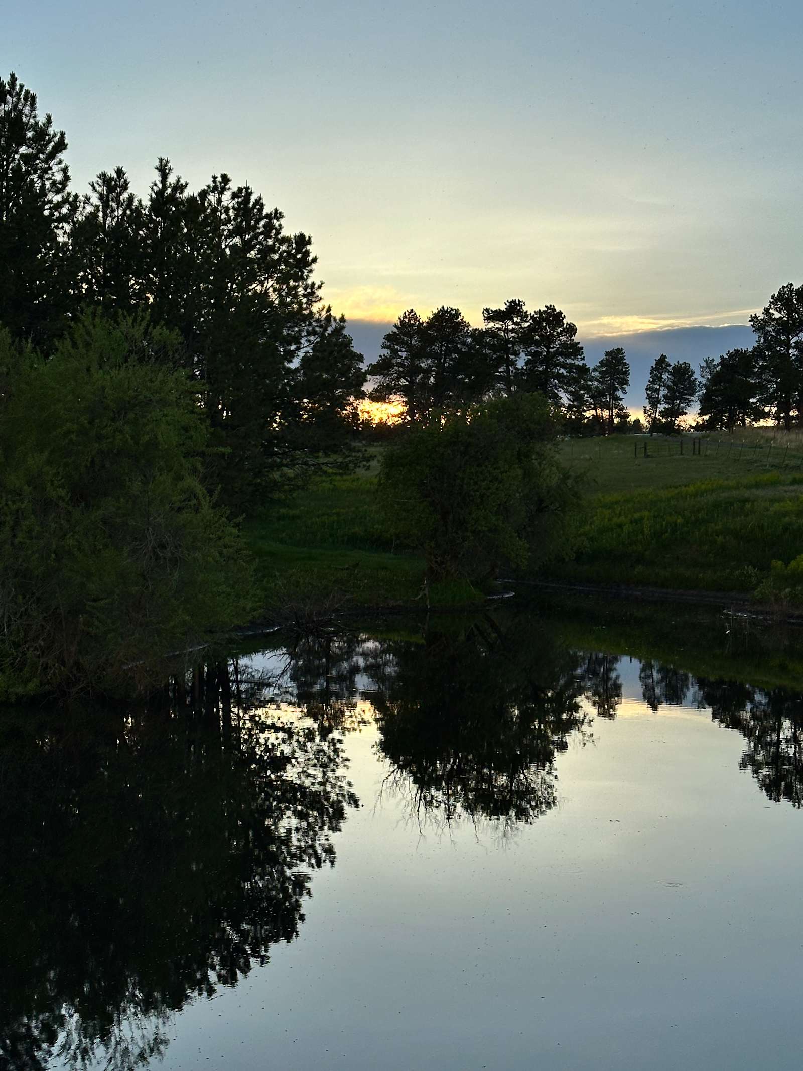 120 Acre Animal Sanctuary - Elizabeth, Colorado - glamping.directory