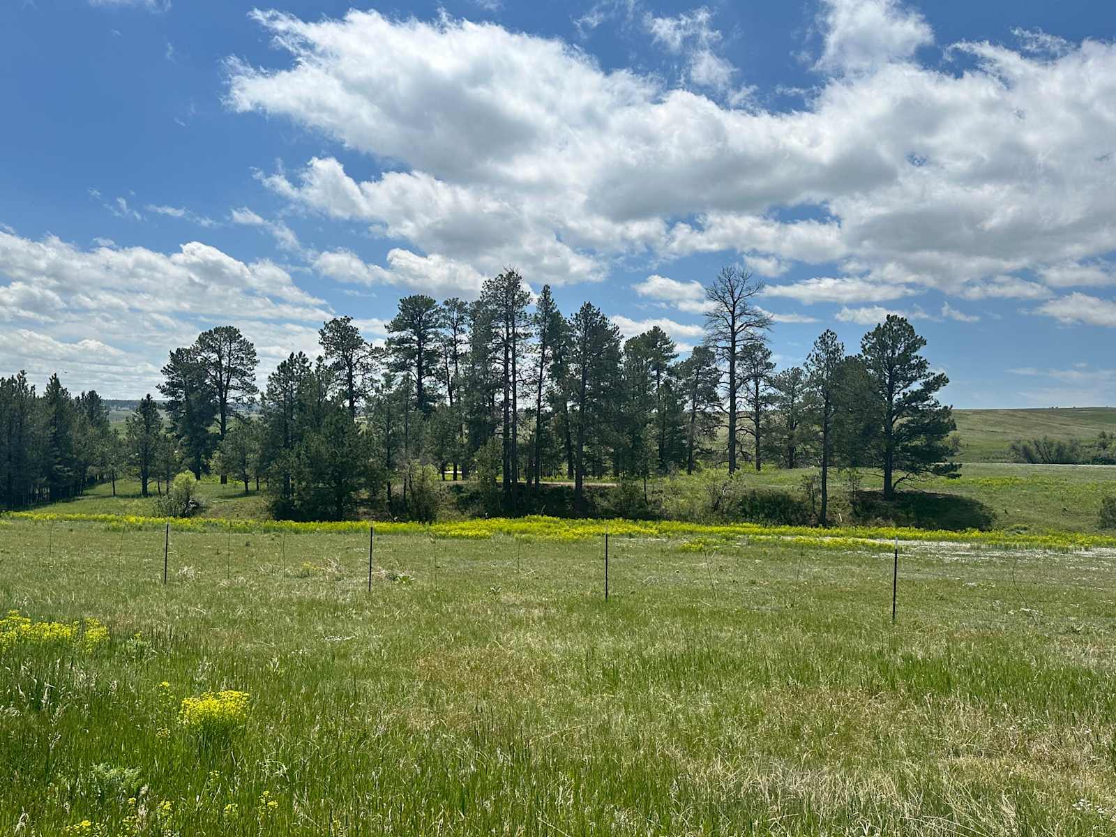 120 Acre Animal Sanctuary - Elizabeth, Colorado - glamping.directory