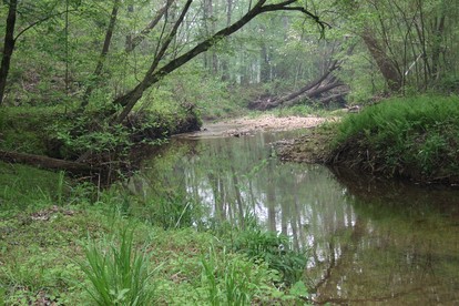 Secluded Woodland Cabin for an Authentic Off-Grid Nature Escape in Fruithurst, Alabama - Fruithurst, Alabama - glamping.directory