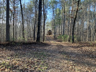 Secluded Woodland Cabin for an Authentic Off-Grid Nature Escape in Fruithurst, Alabama - Fruithurst, Alabama - glamping.directory