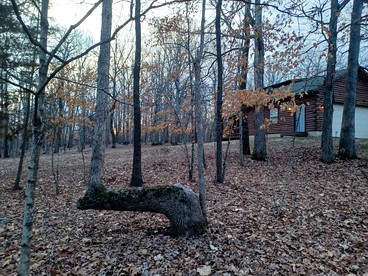 Rustic Cabin Escape for Group Glamping Vacations in De Soto, Missouri - De Soto, Missouri - glamping.directory