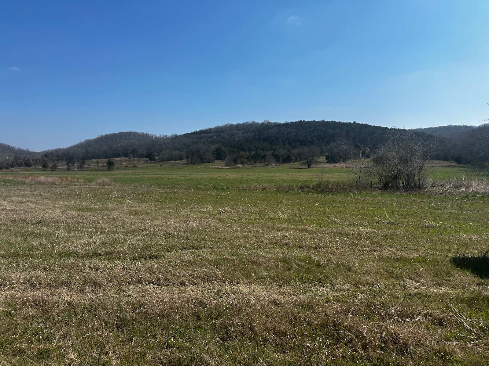 Scott Family Farm & Retreat - Batesville, Arkansas - glamping.directory